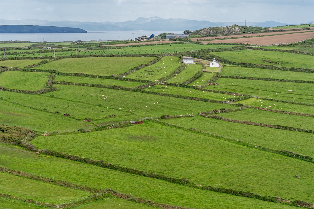 Landschaft bei Mynydd Mawr - Spitze der Halbinsel Llyn